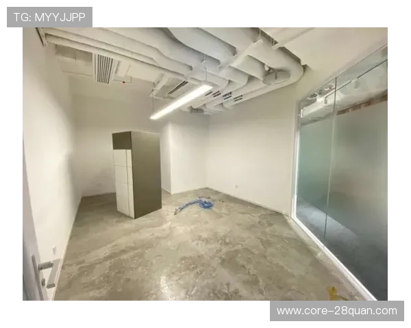 北京市足球联赛全景解析与未来发展趋势研究